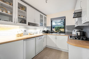 Photo 12- click for photo gallery